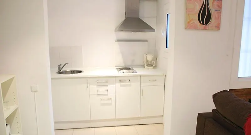 Apartaments Travessera Parc Gueell Barcelona Apartment